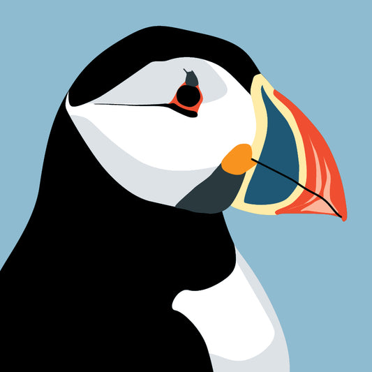 Puffin Greeting Card