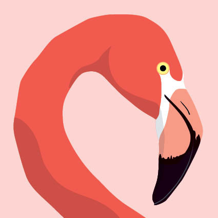 Flamingo Greeting Card