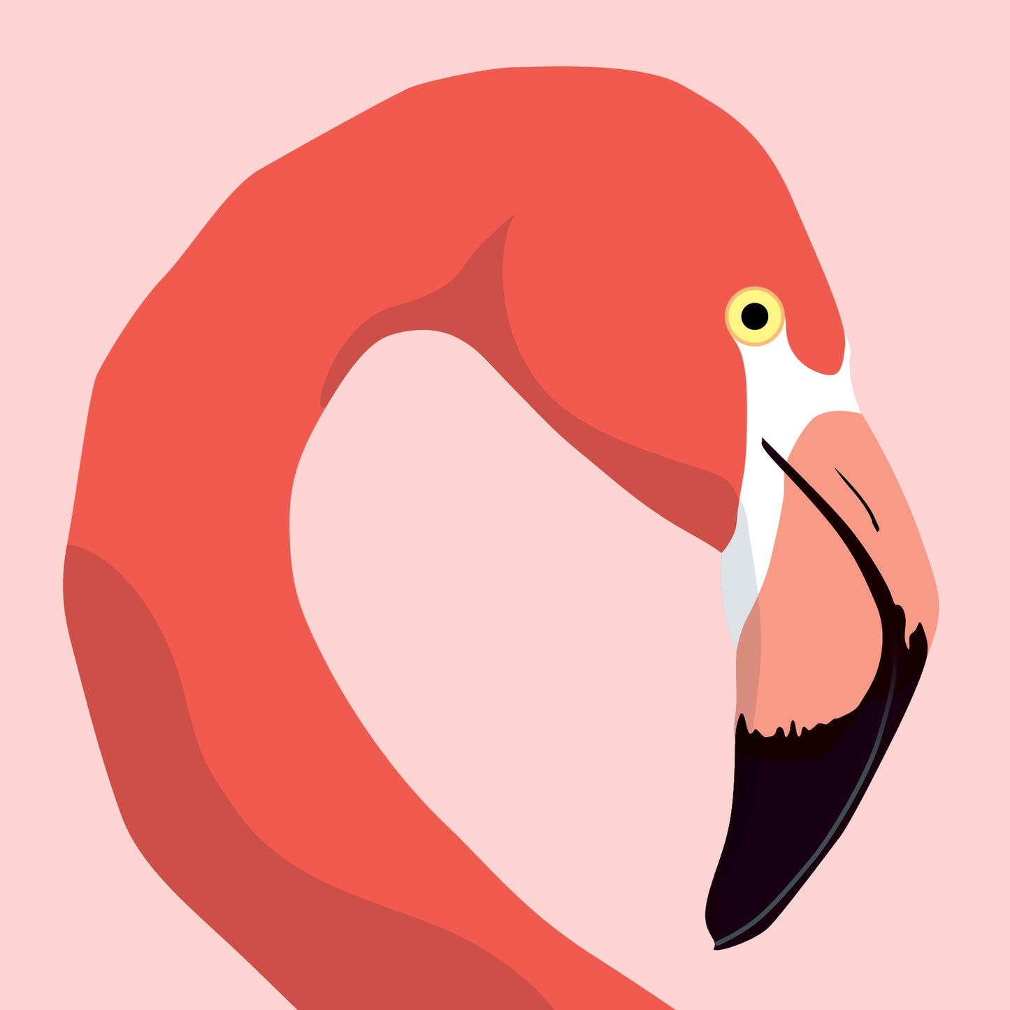 Flamingo Greeting Card