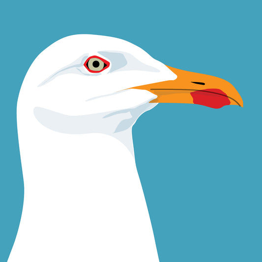 Seagull Greeting Card