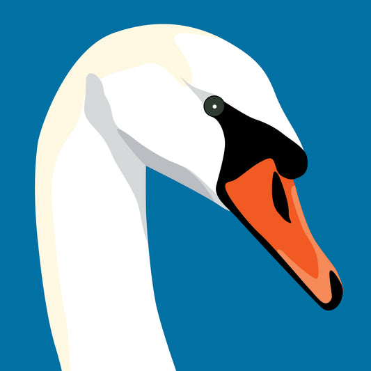 Swan Greeting Card