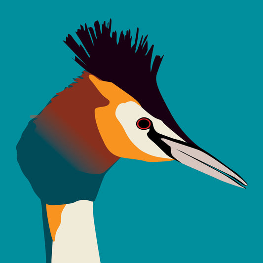 Great Crested Grebe Greeting Card