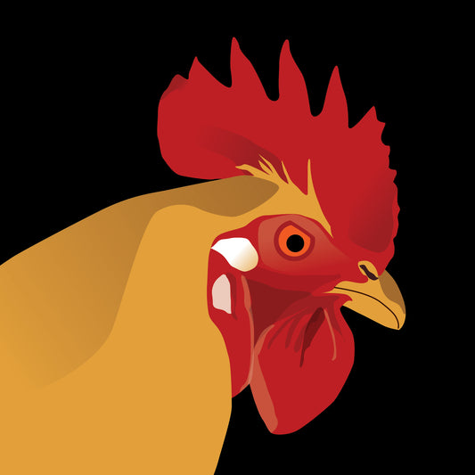 Rooster Greeting Card