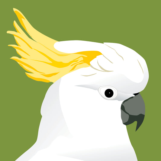 Cockatoo Greeting Card