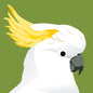 Cockatoo Greeting Card