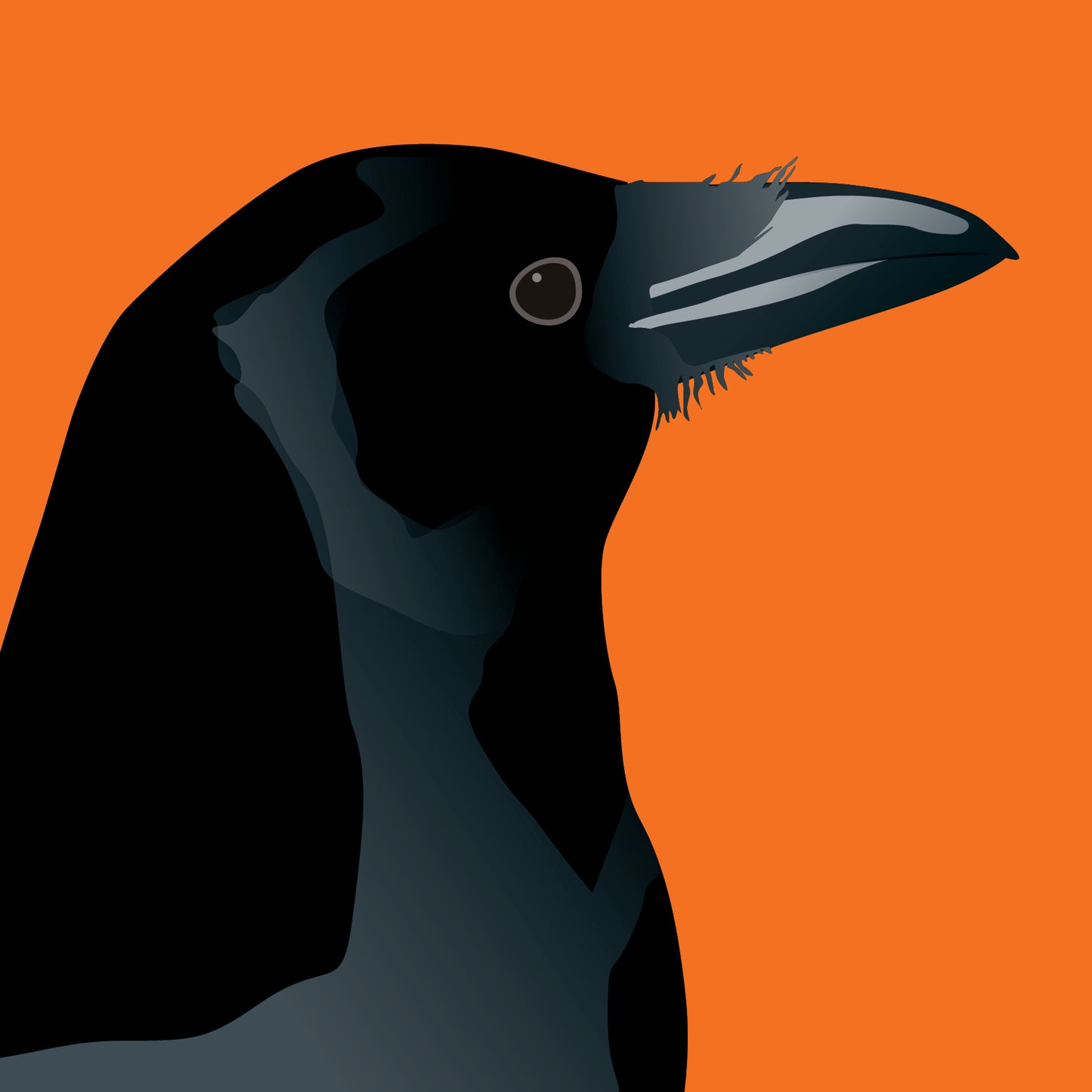 Crow Greeting Card