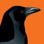Crow Greeting Card