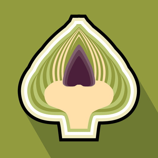 Artichoke Greeting Card